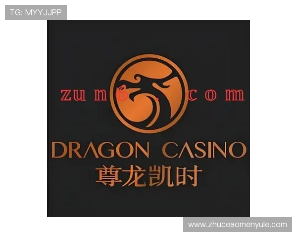 尊龙凯时百家乐官网安全保障措施升级，为玩家营造放心娱乐环境